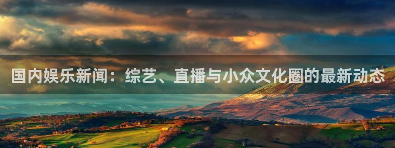 国内娱乐新闻：综艺、直播与小众文化圈的最新动态