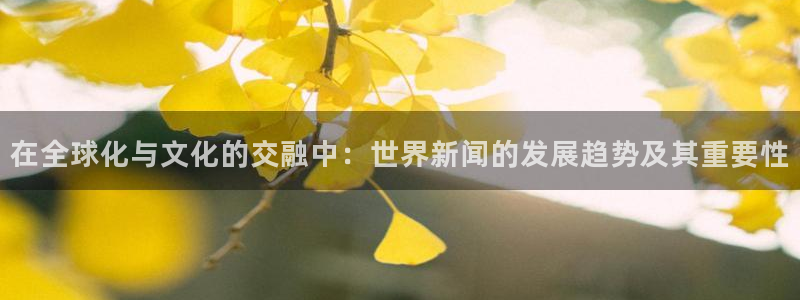 在全球化与文化的交融中：世界新闻的发展趋势及其重要性