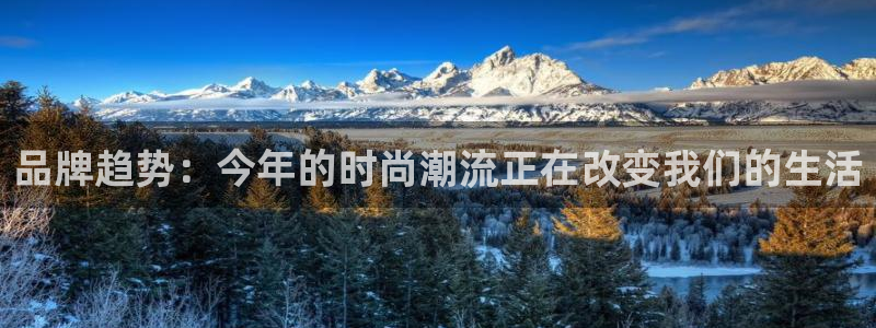 品牌趋势：今年的时尚潮流正在改变我们的生活