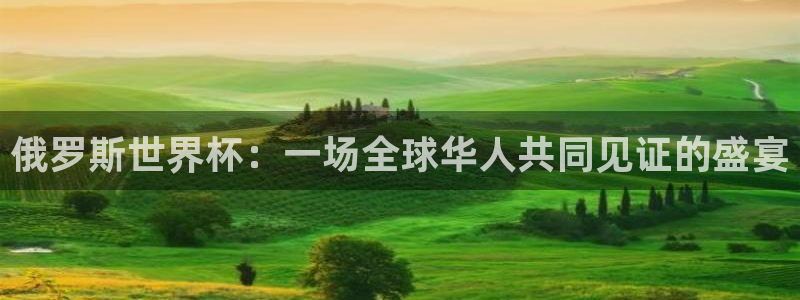 俄罗斯世界杯：一场全球华人共同见证的盛宴