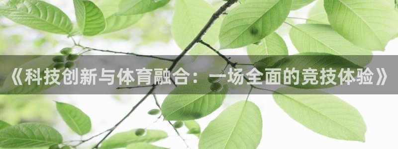 《科技创新与体育融合：一场全面的竞技体验》