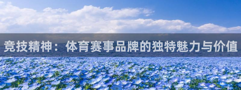 竞技精神：体育赛事品牌的独特魅力与价值