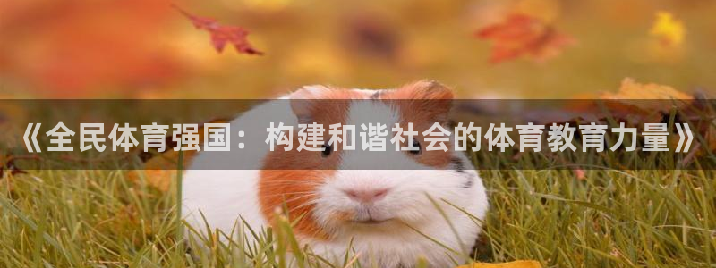 《全民体育强国：构建和谐社会的体育教育力量》