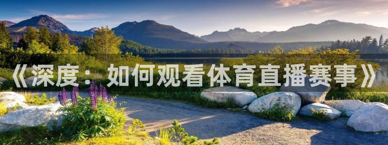 《深度：如何观看体育直播赛事》