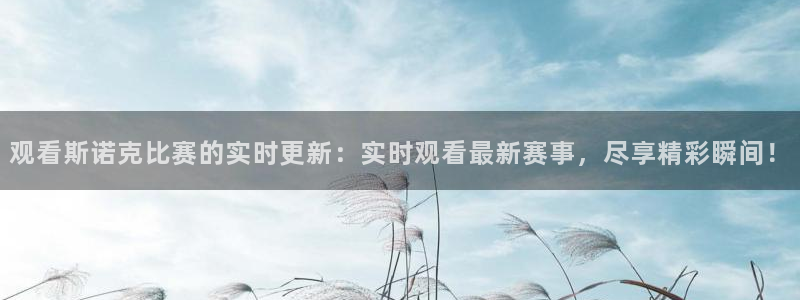 观看斯诺克比赛的实时更新：实时观看最新赛事，尽享精彩瞬间！