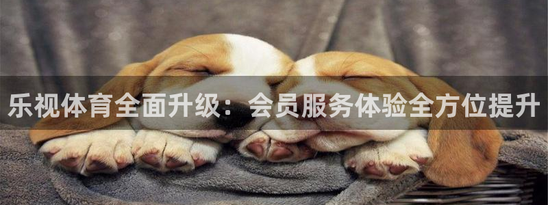 乐视体育全面升级：会员服务体验全方位提升