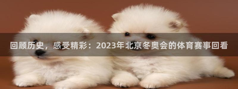 回顾历史，感受精彩：2023年北京冬奥会的体育赛事回看