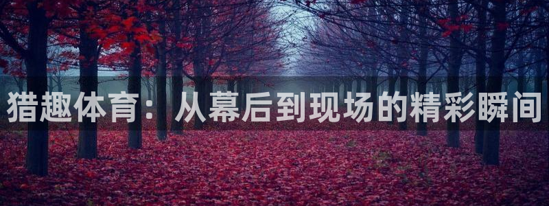 猎趣体育：从幕后到现场的精彩瞬间