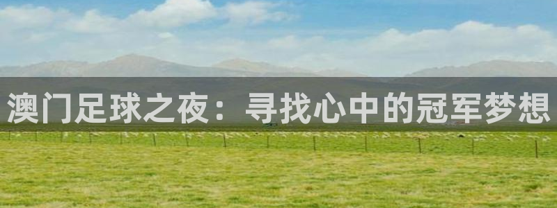 澳门足球之夜：寻找心中的冠军梦想