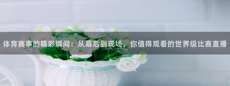 体育赛事的精彩瞬间：从幕后到现场，你值得观看的世界级比赛直播