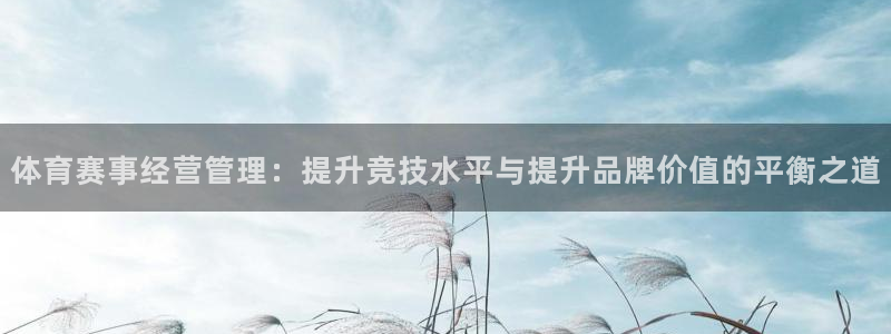 体育赛事经营管理：提升竞技水平与提升品牌价值的平衡之道