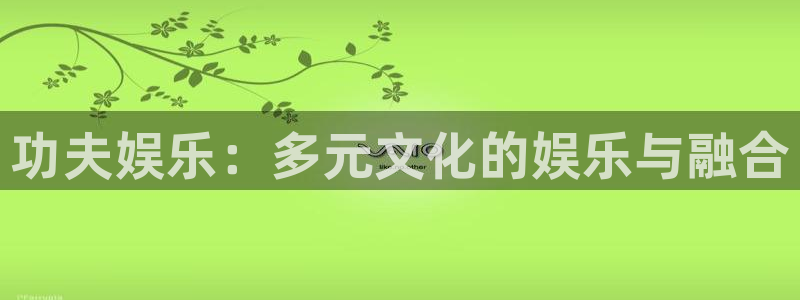 功夫娱乐：多元文化的娱乐与融合