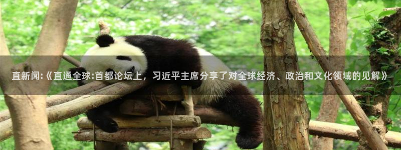 直新闻:《直通全球:首都论坛上，习近平主席分享了对全球经济、政治和文化领域的见解》