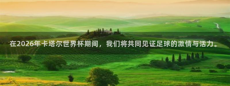 在2026年卡塔尔世界杯期间，我们将共同见证足球的激情与活力。