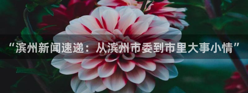 “滨州新闻速递：从滨州市委到市里大事小情”