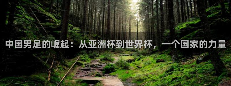 中国男足的崛起：从亚洲杯到世界杯，一个国家的力量