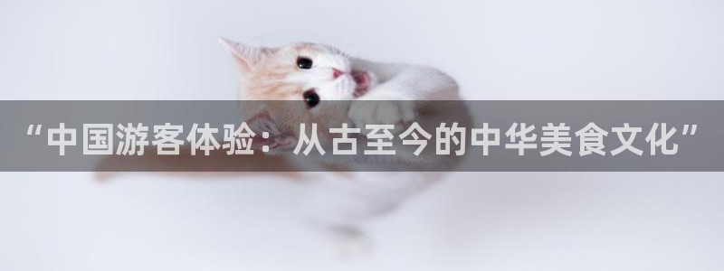 “中国游客体验：从古至今的中华美食文化”