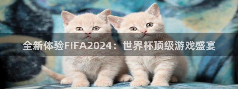 全新体验FIFA2024：世界杯顶级游戏盛宴