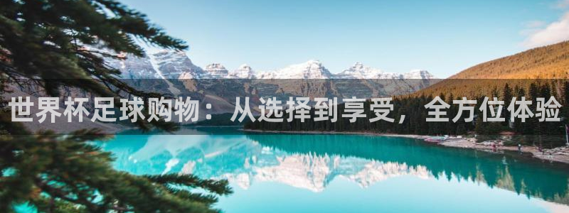 世界杯足球购物：从选择到享受，全方位体验