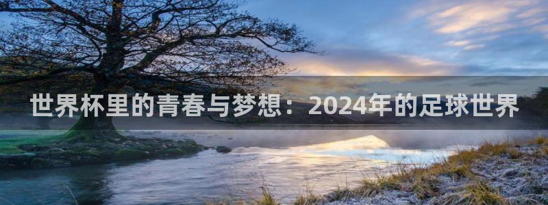 世界杯里的青春与梦想：2024年的足球世界